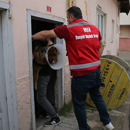 Rahatsızlanan köpeği Vefa Sosyal Destek Grubu ekipleri hastaneye götürdü