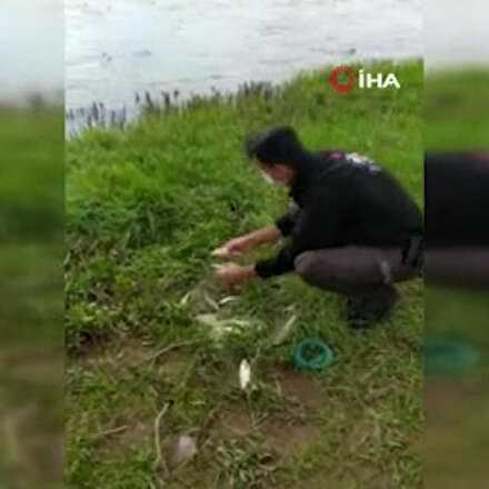 Vanda kaçak avlanan inci kefalleri polis memuru tarafından suya bırakıldı
