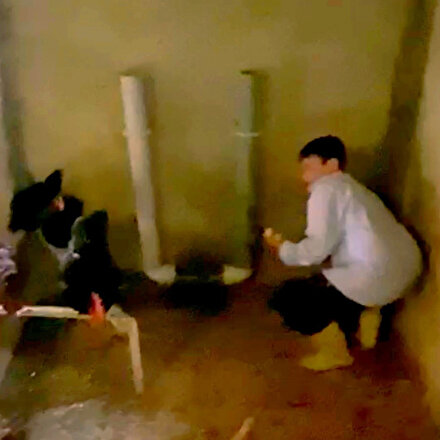 Yumurtaları toplamak isterken horozun saldırısına uğradı