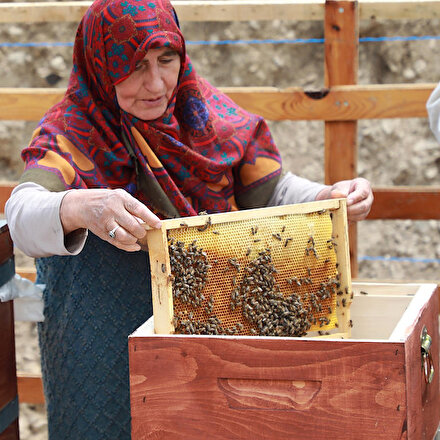 Anzer balında üretim sezonu başladı: Fiyatı belli değil ama 500 kişi sırada