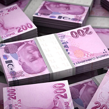 Merkez Bankasından piyasaya 54 milyar lira