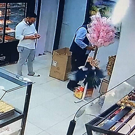 Tatlıcıda davetsiz misafir paniği