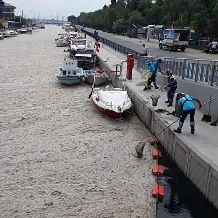 Marmara müsilajla mücadele ederken İBB bir arıtma tesisini daha yatırım planından çıkardı