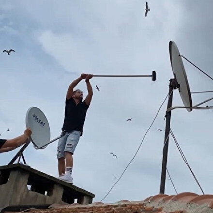 Bursada anten tamircisinin martılarla mücadelesi kamerada