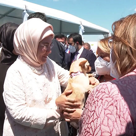 Emine Erdoğan ses telleri kesilen köpeği Yonca Evcimik’e emanet etti