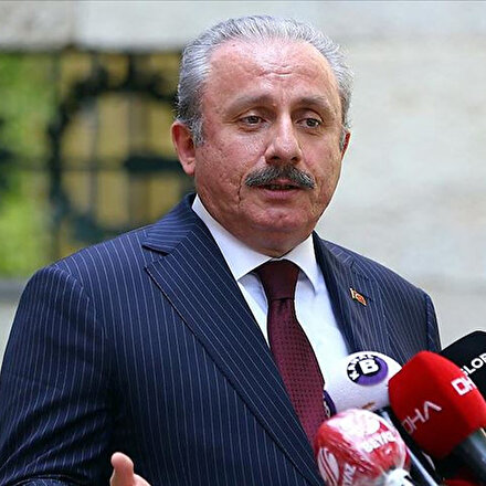 TBMM Başkanı Şentop: Devletimiz bir dalın dahi hesabını sorar