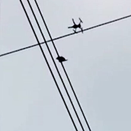 Peruda dronelu güvercin kurtarma operasyonu kamerada