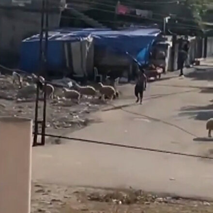 Adanada Cono aşireti arasında yaşanan silahlı çatışma anları kamerada