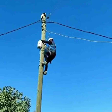 Siirt’te elektrik direğinde mahsur kalan kedi kurtarıldı