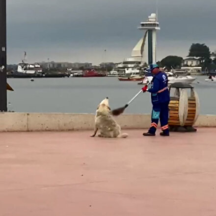 Tuzlada iç ısıtan görüntü: Temizlik personeli sokak köpeğinin sırtını kaşıdı