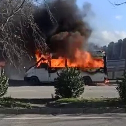 Park halindeki minibüs alevlere teslim oldu