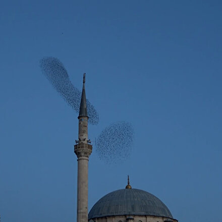 Akşam ezanıyla birlikte gökyüzünde ahenkle dans eden sığırcık kuşları mest etti