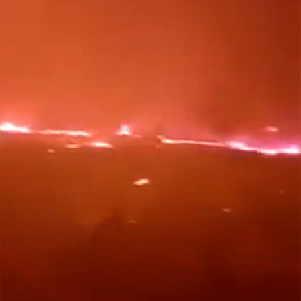 Cezayirde orman yangını: 26 kişi hayatını kaybetti