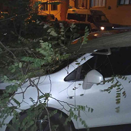 Trabzonda sağanak yağış var mı? Trabzon anlık hava durumu