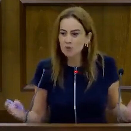 KKTC vekili Doğuş Derya Yunan ağzıyla konuştu: Türkiye ve Erdoğan’ı hedef aldı