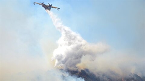 Bodrum Yangin Haberi Evler Tahliye Ediliyor