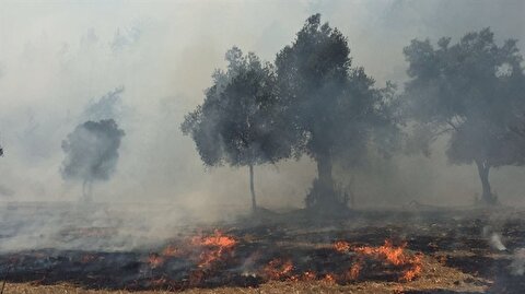 Mugla Ula Daki Orman Yanginda Son Durum