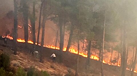 Son Dakika Finike De Orman Yangini Haberi