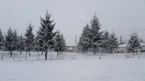 Ordu Hava Durumu Ordu Nun Yaylalarina Kar Yagdi
