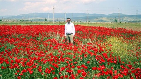 Bursa Haberleri Bursa Nin Kan Cicekleri Gorenleri Buyuluyor