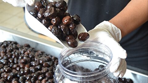 Bursa Ticaret Borsasinda Siyah Zeytin Fiyati