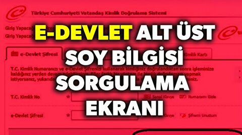 T C Kimlik No Ogrenme Kimlik Bilgilerine Nasil Ulasilir Ekonomi Haberleri