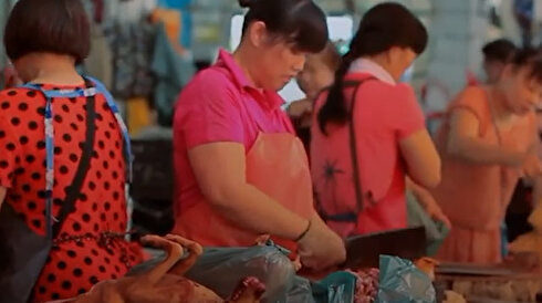 Koronavirüs'le ilgili yeni iddia: 'Yarasa'dan yayıldı