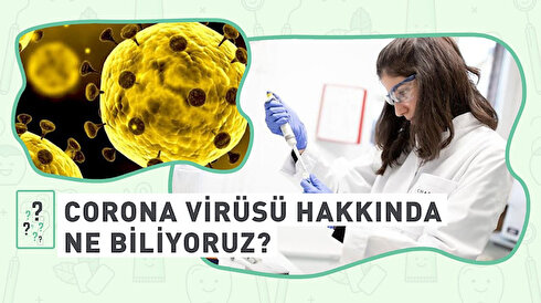 Corona virüsü hakkında ne biliyoruz?