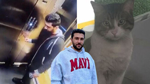 Eros isimli kediyi vahşice öldürmüştü: Katil İbrahim Keloğlan'nın cezası belli oldu