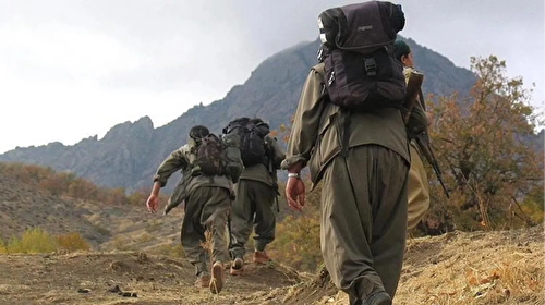 PKK'da çözülme hız kazandı! MSB duyurdu: Bir terörist teslim oldu