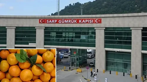 Sınır kapısındaki denetimde tespit edildi: 6 bin 100 kilogram mandalina imha edildi