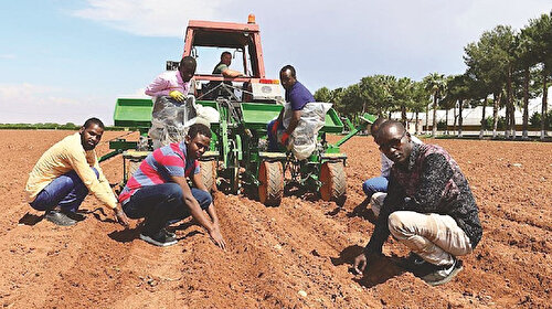 Somali’den Türk çiftçisine davet