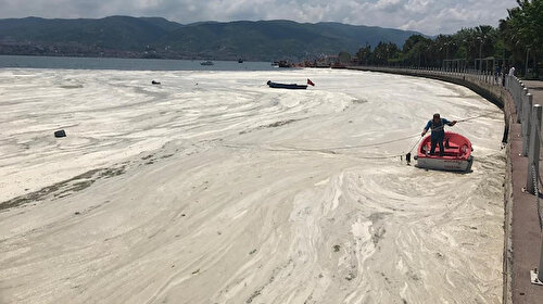 Tüm şartlar oluştu: Marmara'da denizin ısınması müsilajı tetikleyebilir