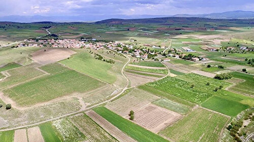 Tarım ve Orman Bakanlığı: Devlet adına yurt dışında arazi kiralanma söz konusu değil