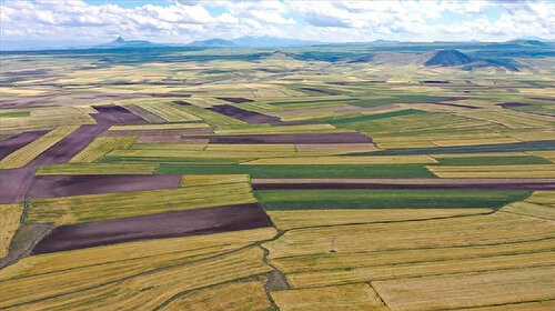 Yatırımcının yeni rotası belli oldu: Arsalar kapış kapış gidiyor