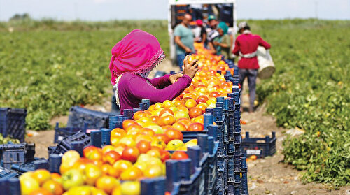 35 ürünle yeni pazar arayışı