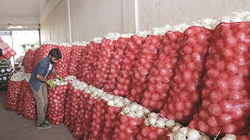 Halde patates ve soğan bolluğu