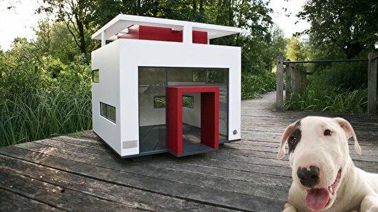 Köpekler için yapılmış malikaneler