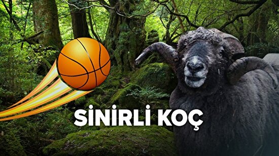 Sinirli koç basketbol topuna karşı