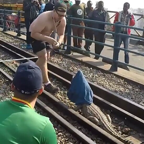 Yaramaz timsah tren raylarına girince olanlar oldu