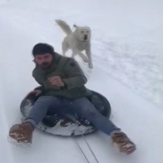 Karda eğlenmek isterken peşine köpek takıldı