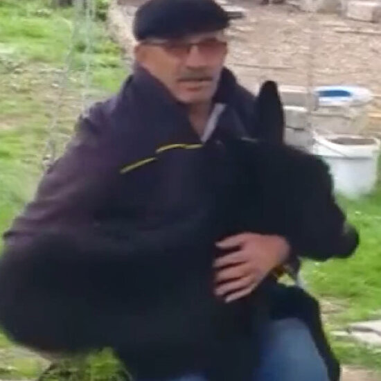 Yaşlı adamın eşek sıpasıyla salıncak keyfi