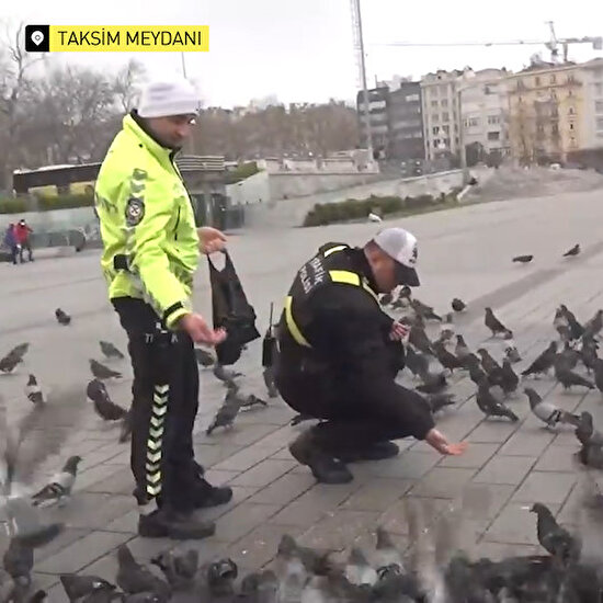 Taksim Meydanı'nda aç kalan güvercinleri trafik polisleri besledi