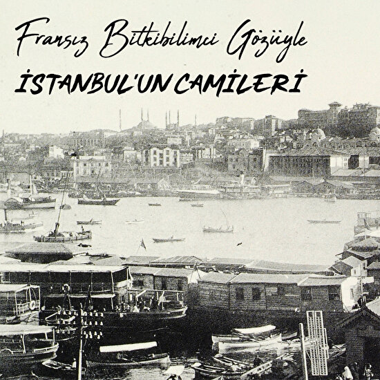 Fransız bitkilimci gözüyle İstanbul'un camileri