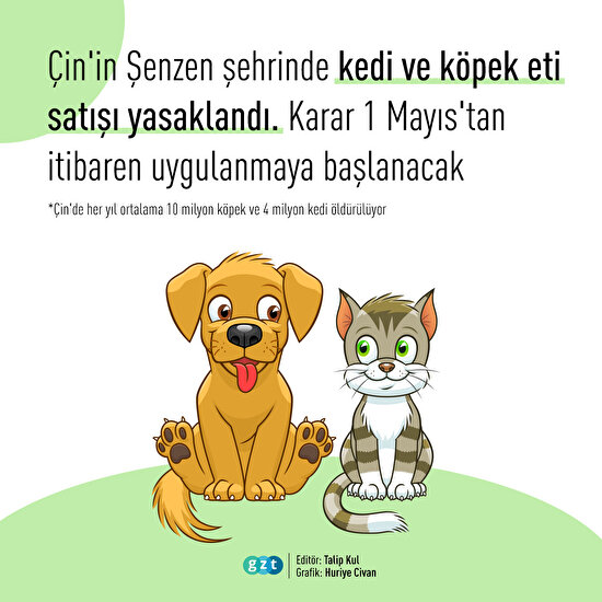 Şenzen şehri Çin'de bir ilke imza attı