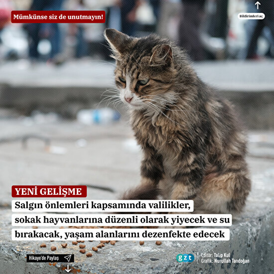 Sokaktaki canlar unutulmadı