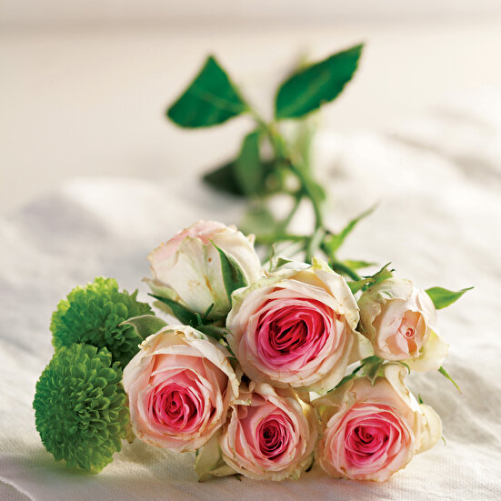 Orman Meyveli Pelte Pasta