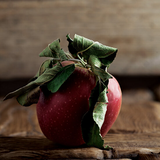 Elmalı Muhallebili Kek