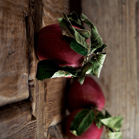 Elmalı Muhallebili Kek