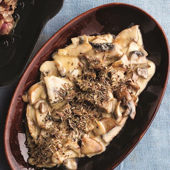 Fıstıklı Kremalı Mantar